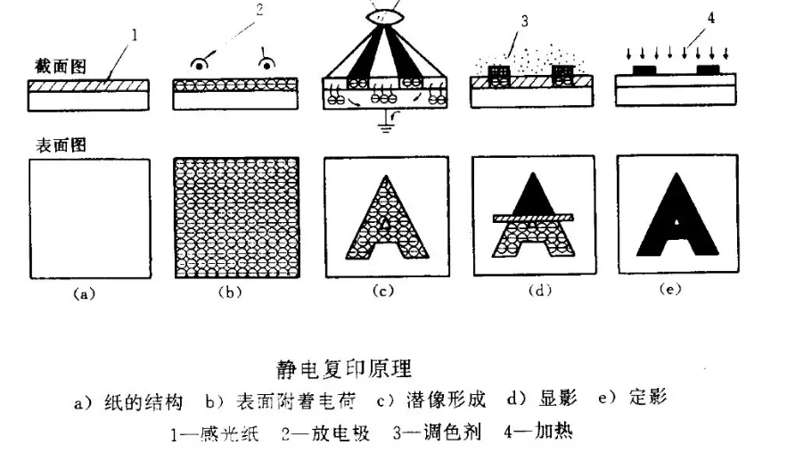 静电植绒机,地毯机,地毯背胶机,涂层机,定型机