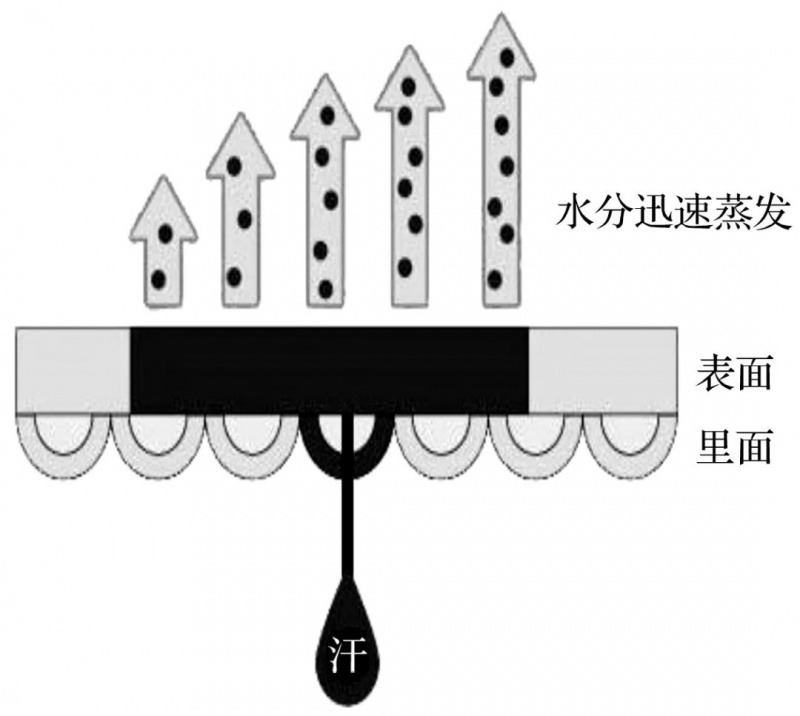 涂层机,定型机,地毯机,地毯背胶机,静电植绒机