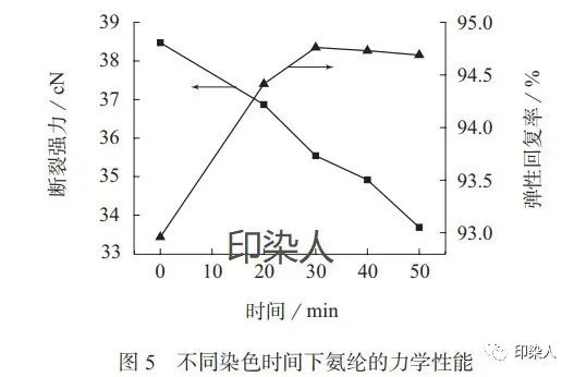 定型机,涂层机,地毯机,地毯背胶机,静电植绒机