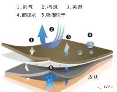 定型机,涂层机,地毯机,地毯背胶机,静电植绒机